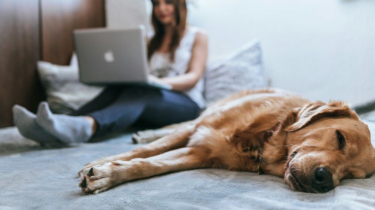 Foto: Bruno Cervera/Unsplash