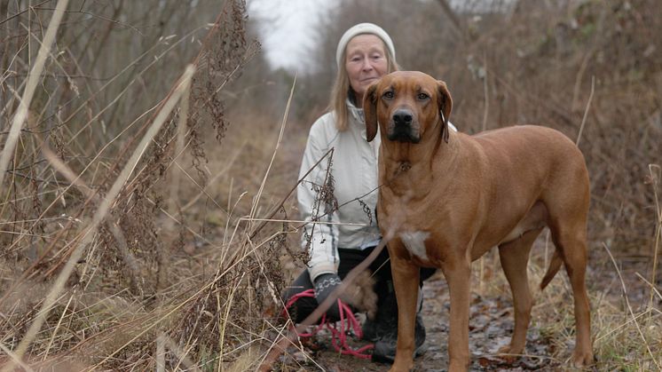 Loppan blev Årets bragdhund 2012