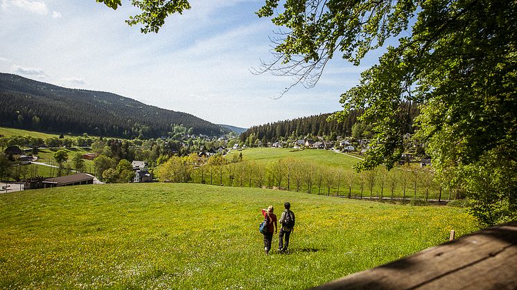 Wandern auf dem Kammweg Erzgebirge Vogtland_Foto TVE_Rene Gaens