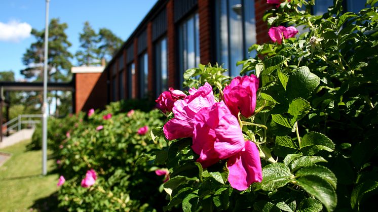 Djurgårdsskolan är en av sju grundskolor i kommunen som får en ny grundskolechef