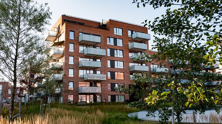Blant 40 påmeldte, er Krydderhagen blant de tre finalistene til å stikke av med årets arkitekturpris. Foto: Øyvind Haug