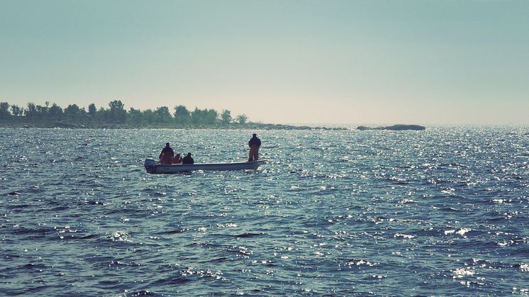 Den 17 juni startar årets laxfiske i Bottenviken. Det är ett unikt och viktigt fiske som har stor regional och lokal betydelse.