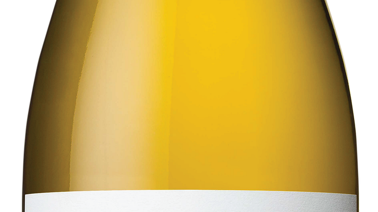 WV EG Chardonnay NV Bottle Shot (2) (1).png
