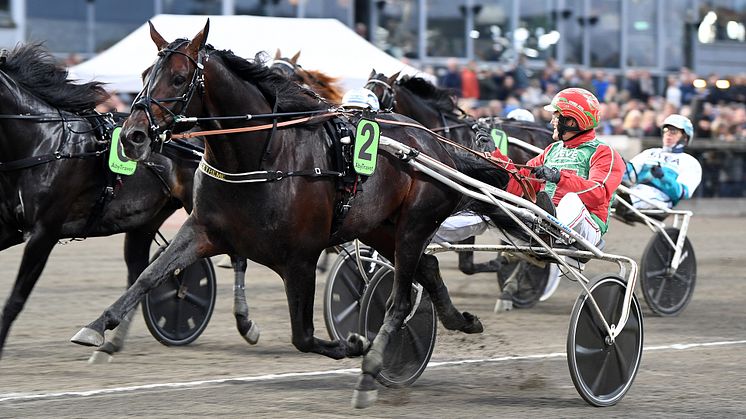 Danske Extreme är klar för Elitloppet 2022. Foto: TR Bild