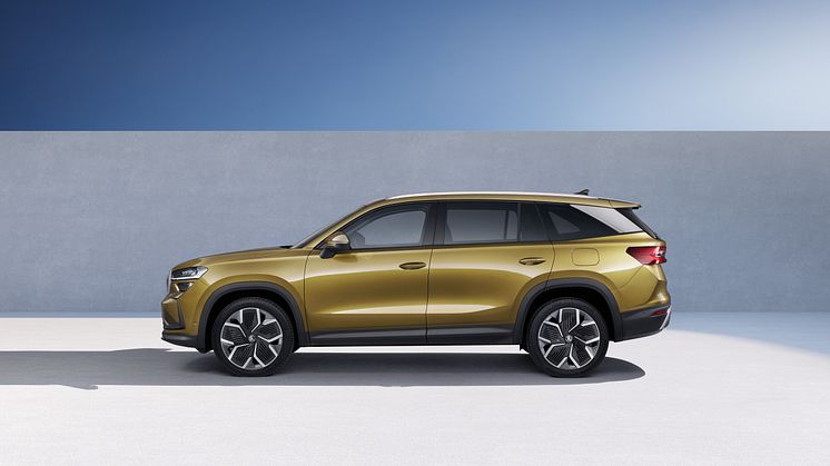 Ny Kodiaq 2024