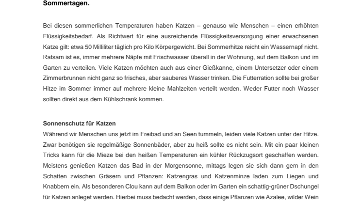 08. August ist internationaler Tag der Katze