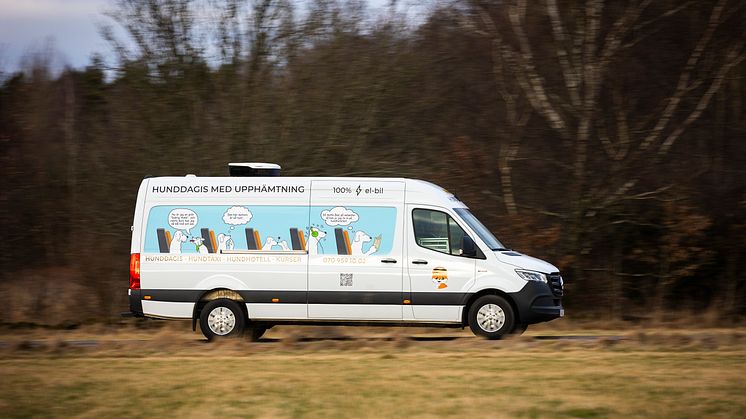 eSprinter Hundtaxi