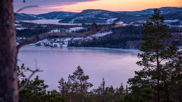 Tack för ett fint 2024 – och välkommen 2025!