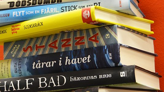 ​Verklighetsflykt, normer och läsfrämjeri på Litteralund