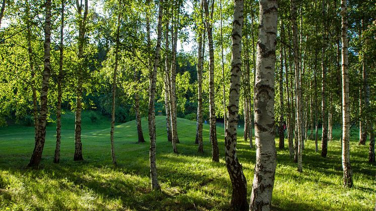 Järva DIscGolfPark (liten)