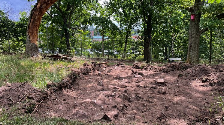 Översiktsbild från Stadsmuseets arkeologiska utredning i Burgårdsparken. Foto: Karolina Kegel