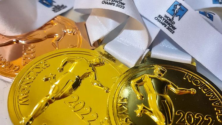 medaljerna.jpg