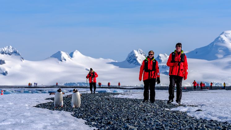 Hurtigruten Expeditions' guests in Antarctica. Photo: Dan Avila