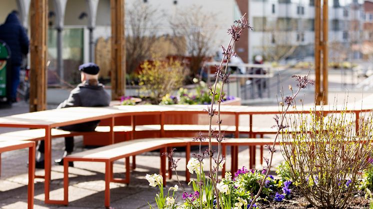 Pergola Vårväderstorget