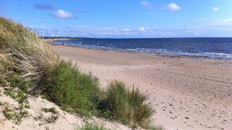 Vackra Skrea Strand, Falkenberg