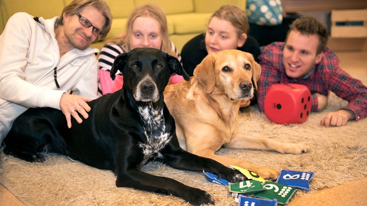 Det blev de två blandrastikarna Bella och Wilma som fick utmärkelsen Årets sociala tjänstehund 2017. Foto: Urban Brådhe 