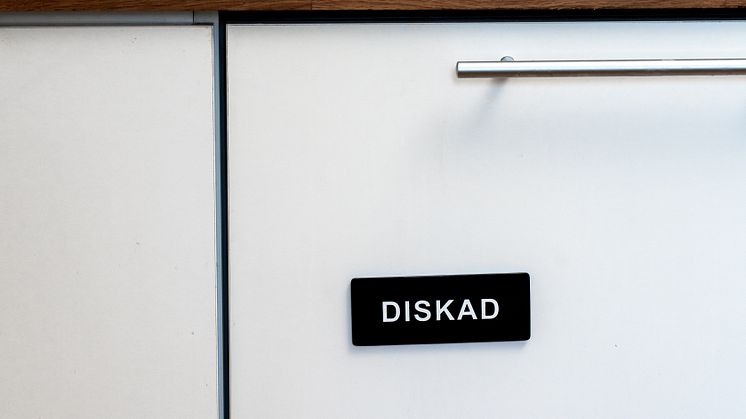 diskmagnet1