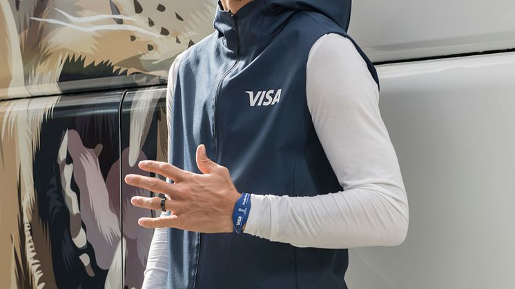 Visa_Zlatan2