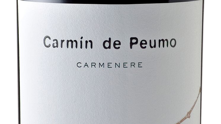 Ignacio Recabarren’s Carmín de Puemo - Vinnare av “Chilean Wine Innovation Award 2012” 