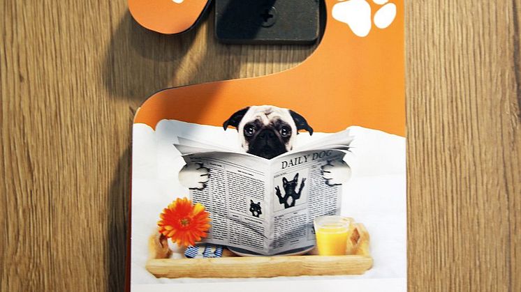 Auch Hunde sind im LOGINN by Achat willkommen