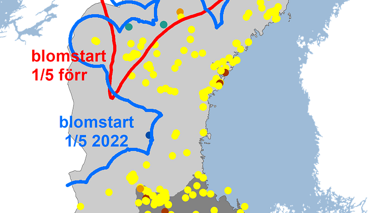 tussilago2022