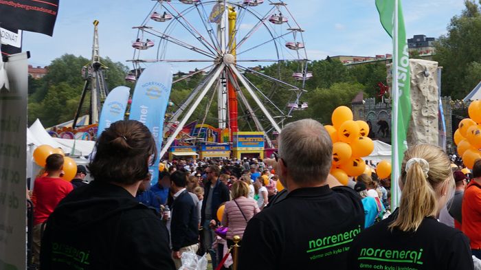 Fira Nationaldagen och pricka vårt miljömål!