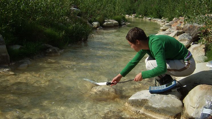 Naturlig rening av kväve från gruvor
