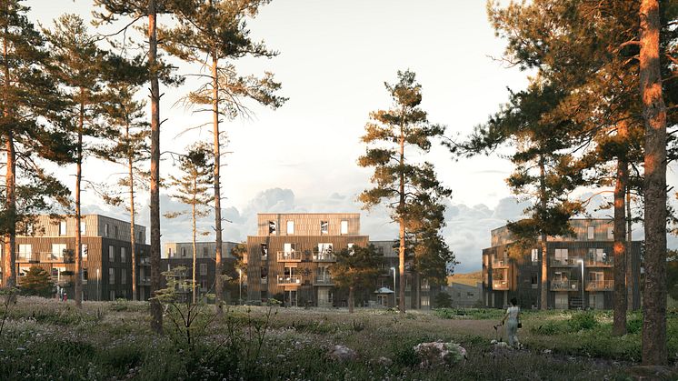 Naturhusen möter skogen i siktlinjer och gröna gårdsrum.