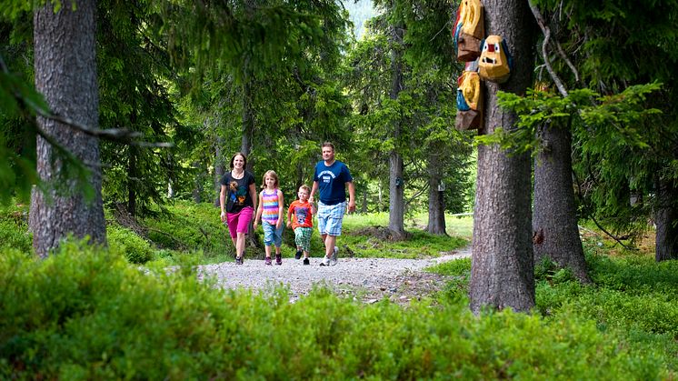 Trollskogen_Sälen sommar