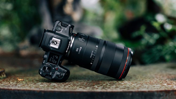 Canon RF-objektiver: Nye 400mm og 600mm optimerede teleobjektiver og 100mm makrooptik med variabel bokeh