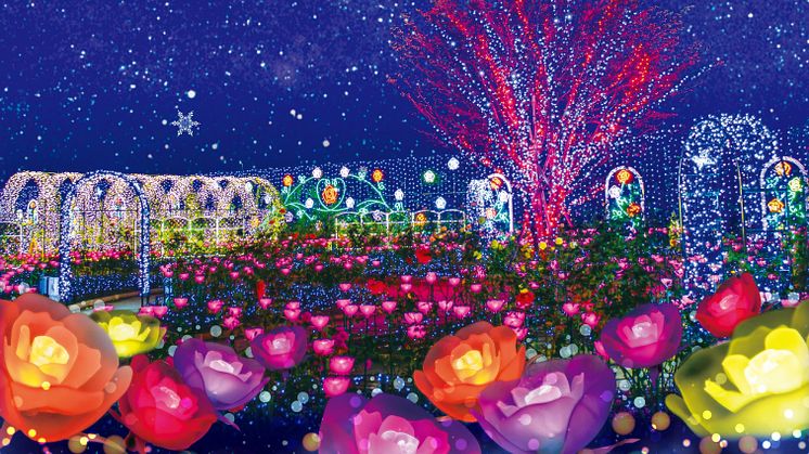 Ashikaga Flower Park Flower Fantasy – A Light Flower Garden(2)