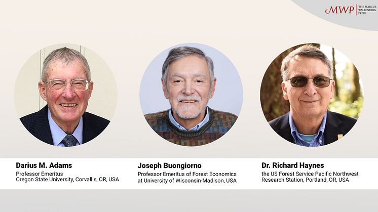 Groundbreaking economic models for integrated analysis of the forest sector