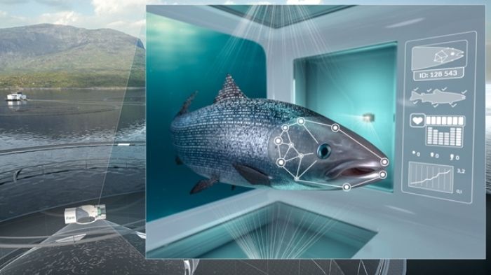 Cermaq og samarbeidspartner BioSort har oppfylt samtlige målekriterier for tildelte utviklingstillatelser for iFarm.