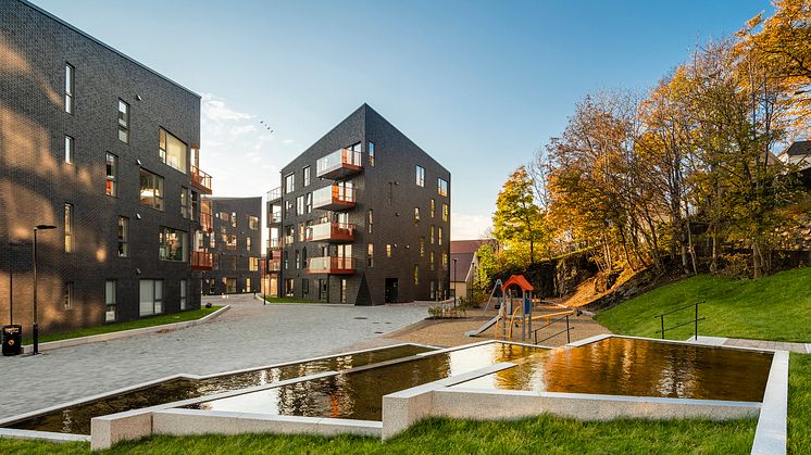 Blågrønn faktor, Elsesro i Bergen. Foto: LINK arkitektur/Hundven-Clements Photography. 