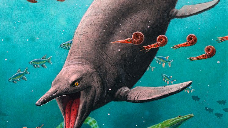 Reconstruction of earliest ichthyosaur 