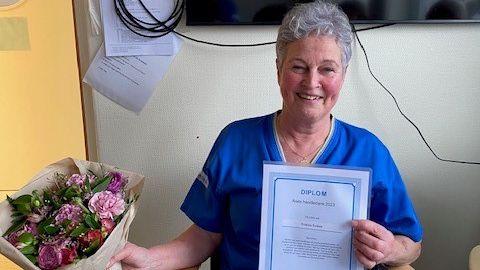 2 Årets handledare