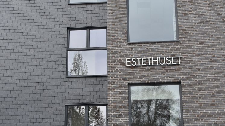 Skifferfasader på skolor och förskolor