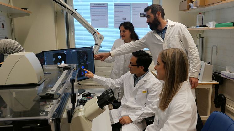 Postdoc Laura Herzog – sitting closest to the camera, professor Yaowen Wu. Postdoc Anastasia Knyazeva, and Postdoc Dale Corkery. Photo: Shuang Li