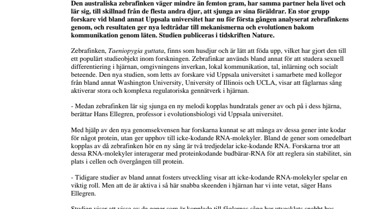 Zebrafinkens sång berättar om den kommunicerande hjärnans utveckling
