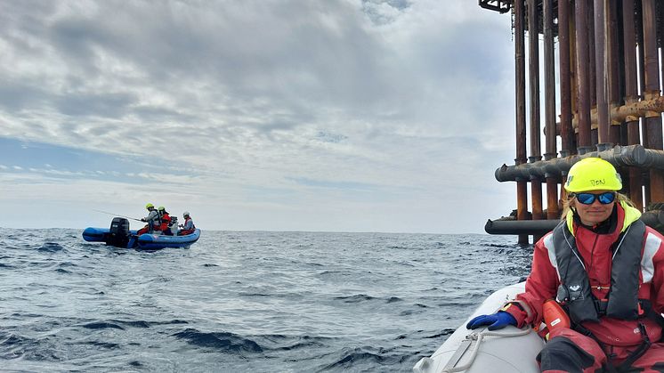 Offshore Cod Trip