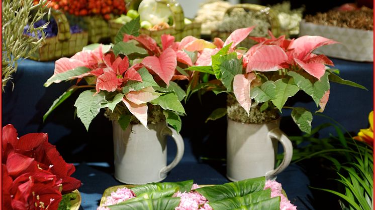 Blommande Julbord