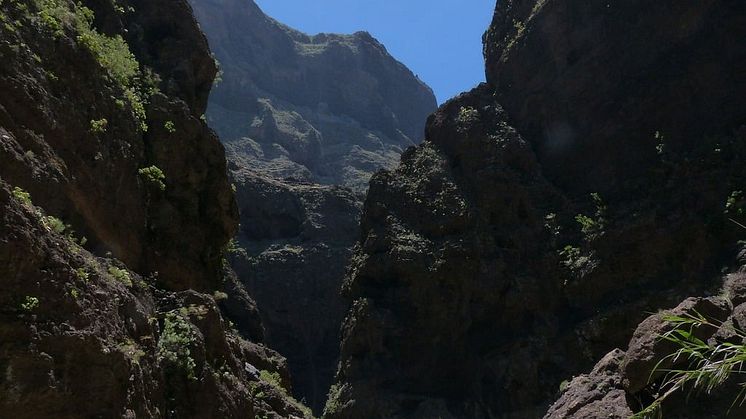 Masca ravine.jpg