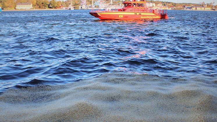 OLW:s popcorn i stor övning i centrala Stockholm