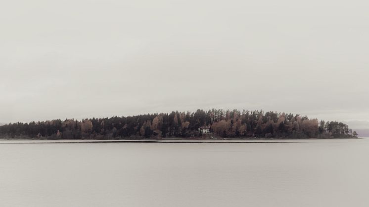 Jonas Dahlberg: Notes on a Memorial