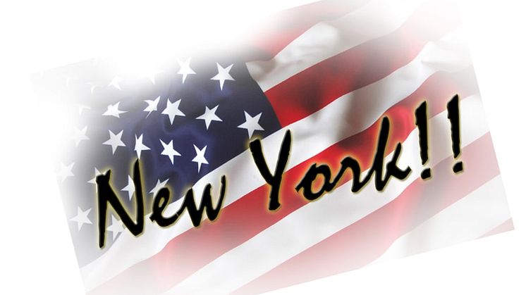 Studieresa till New York med fokus på stadsutveckling & trygghet 22-26 april