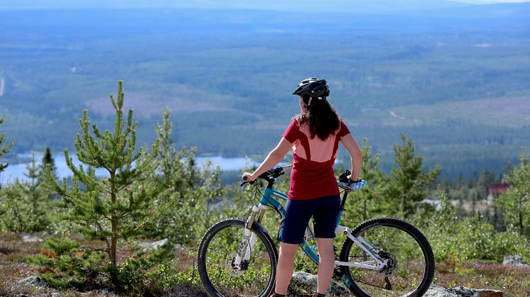 Stigcykling i Lofsdalen i Lofsdalen Fjällpark MTB