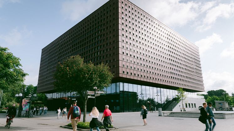WASP ED ska göra universitetens utbildningar ledande inom AI
