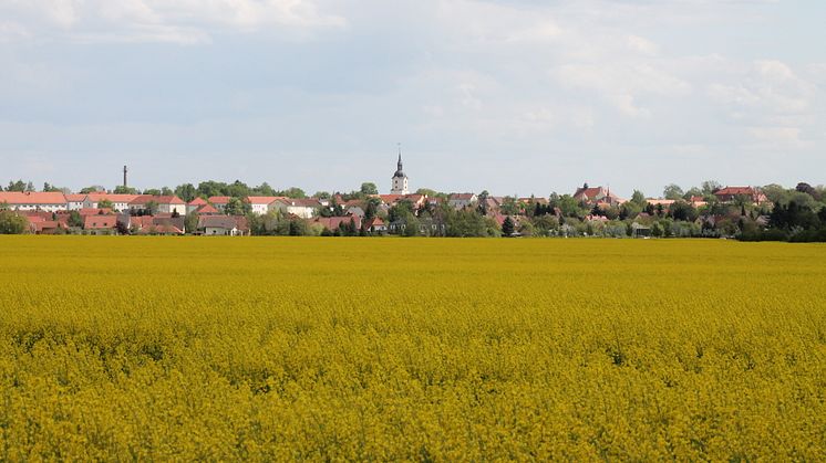 Die Skyline der Gemeinde Brandis. Foto/Rechte: Stadt Brandis
