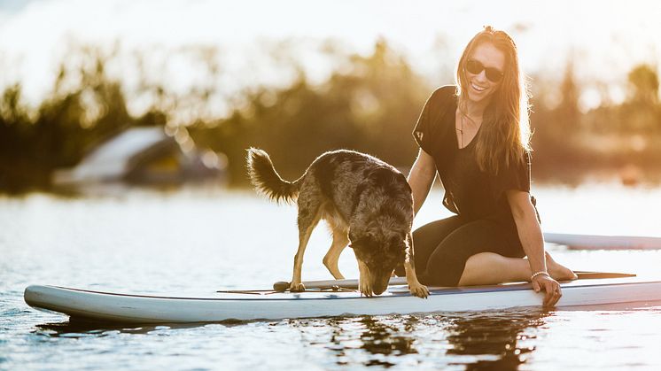 Fressnapf Reisen: Urlaub mit Hund leicht gemacht