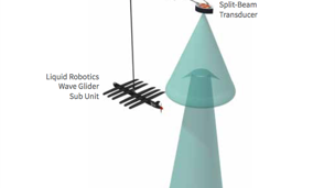 WaveGlider